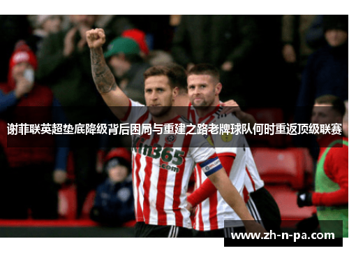 谢菲联英超垫底降级背后困局与重建之路老牌球队何时重返顶级联赛 谢菲联英超垫底降级背后困局与重建之路老牌球队何时重返顶级联赛